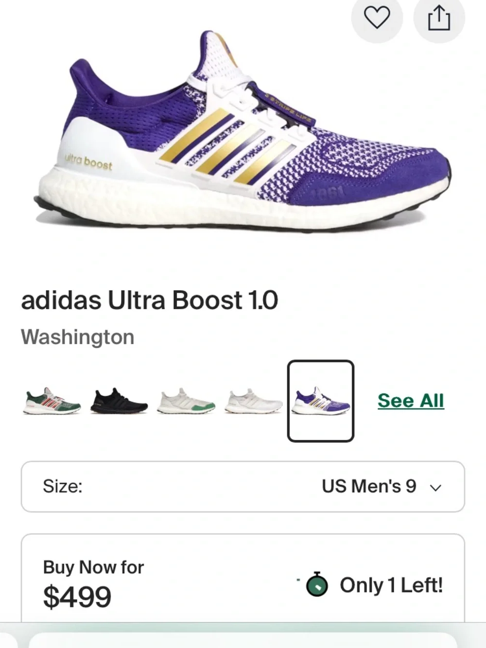 University of Washington shoes